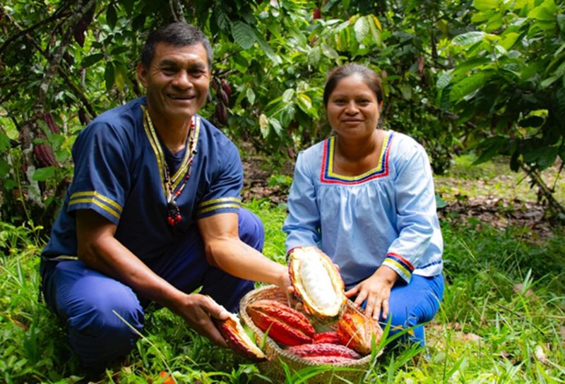 Two persons holding fruit in a basket. Development - Inter-American Development Bank - IDB
