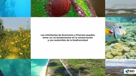 Ministerios de Finanzas pueden tener rol clave en la conservación de la biodiversidad