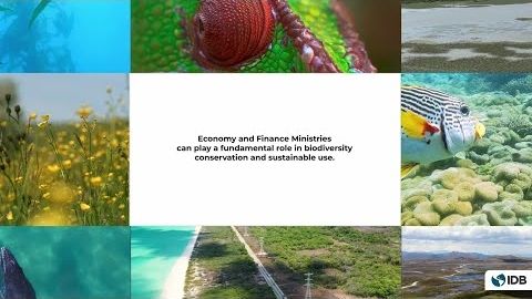 Finance Ministries can play a fundamental role in biodiversity conservation