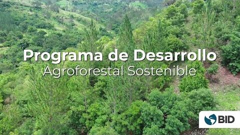 El camino hacia un desarrollo rural agroforestal sostenible en República Dominicana
