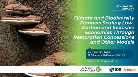 COP16 - The Biodiversity Conference