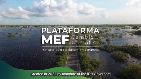 MEFs Continue to Transform Challenges into Economic Opportunities